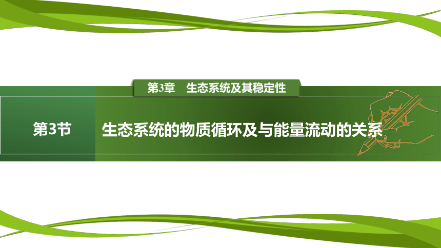 高中生物人教版（2019）选择性必修2课件：3.3.1 生态系统的物质循环及与能量流动的关系(共25张PPT)