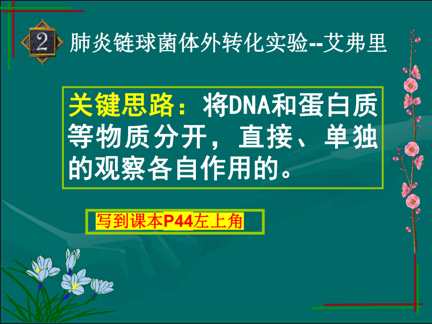 3.1DNA是主要的遗传物质课件 课件（共35张PPT）-2022-2023学年高一下学期生物人教版（2019）必修2