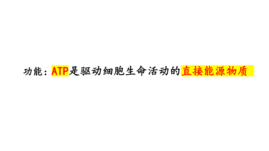 5.2细胞的能量“货币”ATP课件(共24张PPT1份视频)-2023-2024学年高一上学期生物人教版（2019）必修1