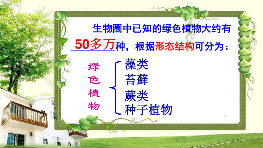 3.1.1藻类、苔藓和蕨类植物课件 (共40张PPT)人教版生物七年级上册