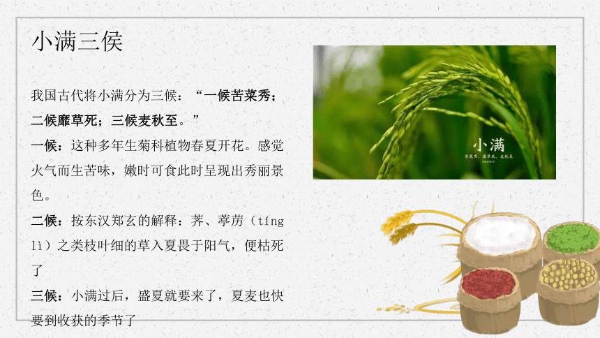 第08讲：小满-中华传统文化二十四节气介绍精美课件专辑