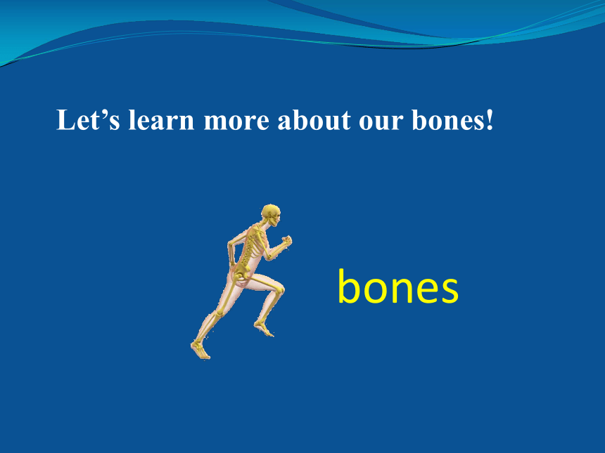 Unit 4 Healthy Living Lesson 12 Healthy Bones课件（24张）