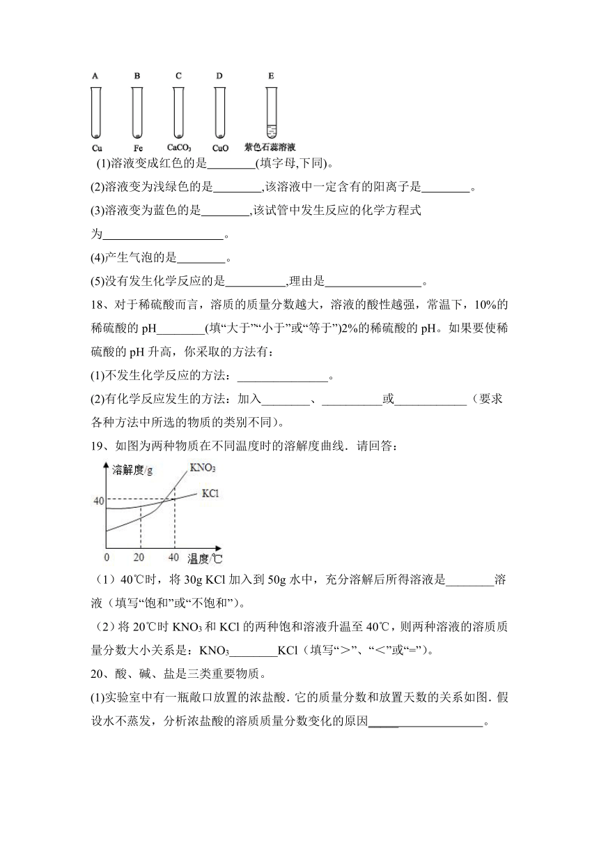 2023—2024学年人教版化学九年级下册第十单元  酸和碱 分层题（含答案）