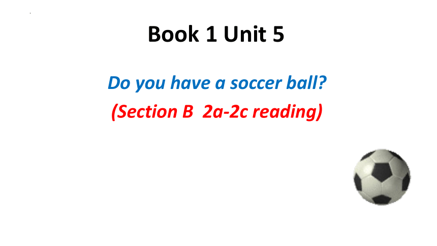 人教版七年级英语上册Unit 5Do you have a soccer ball? Section B 2a-2c 课件(共20张PPT，内嵌音频)