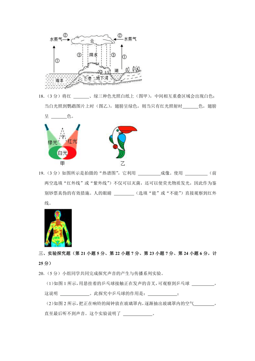 陕西省西安市长安区2023-2024学年八年级上学期期中物理试卷（含答案）