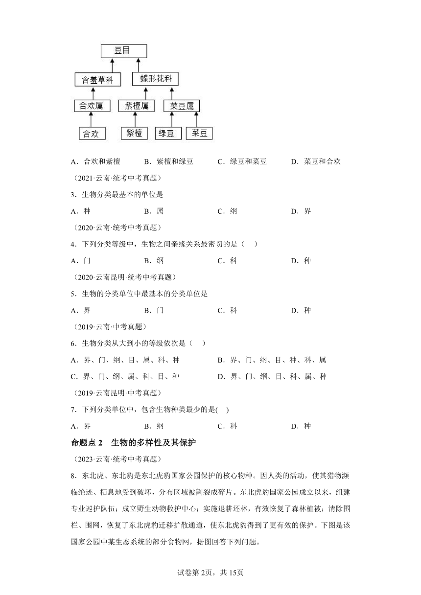 专题11生物的分类、进化和多样性保护 5年（2019-2023）中考1年模拟生物真题分类汇编（云南专用）（含解析）