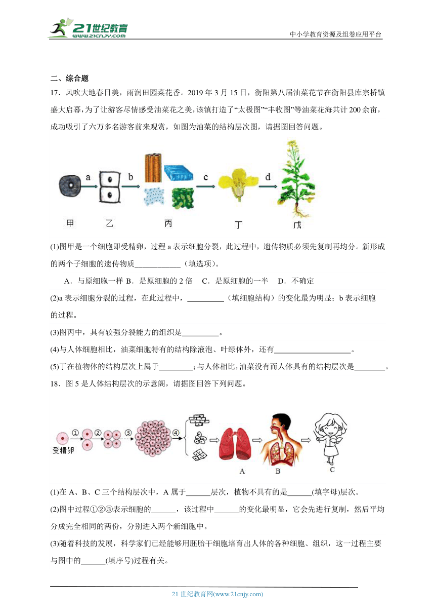 2023-2024学年初中生物济南版七年级上册期末复习专题5——多细胞生物体的结构层次（含解析）