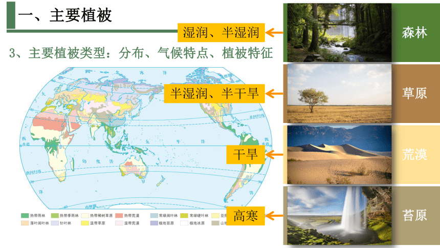 5.1主要植被与自然环境课件2023-2024学年高中地理湘教版（2019）必修一（58张）