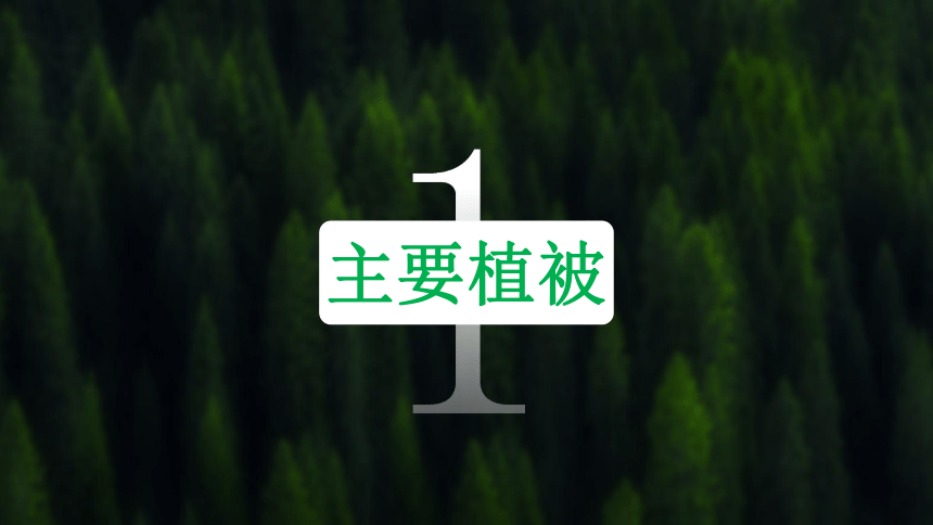 5.1主要植被与自然环境课件2023-2024学年高中地理湘教版（2019）必修一（58张）