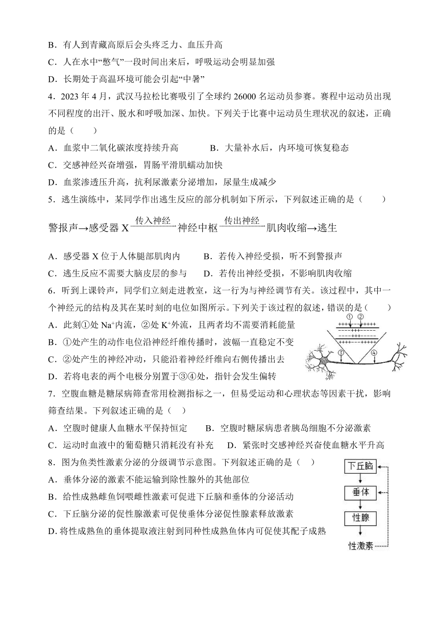 广东省肇庆市广宁县2023-2024学年高二上学期期中考试生物学试题（含答案）