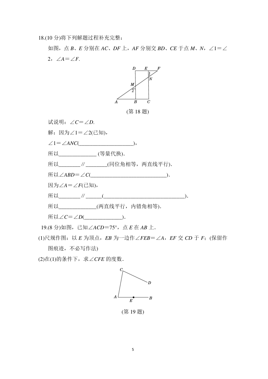 北师大版数学七年级下册 期中复习测试卷（含答案）