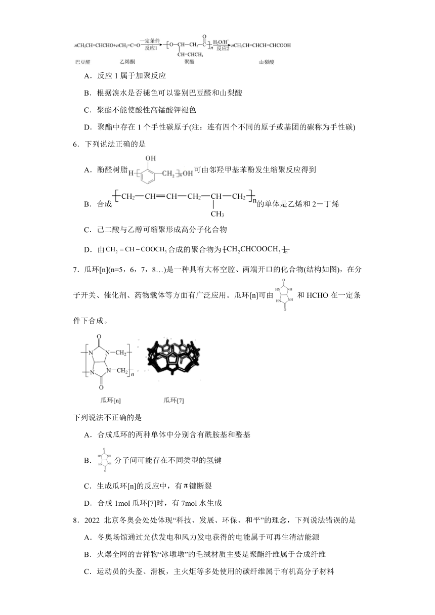 第五章《合成高分子》单元测试卷（含解析）2023-2024学年下学期人教版（2019）高二化学选择性必修3