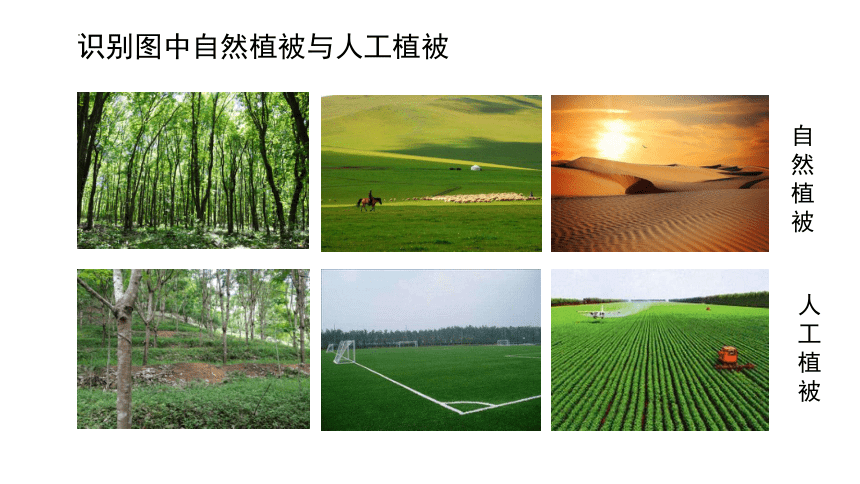 高中地理湘教版（2019）必修一5.1主要植被与自然环境（共30张ppt）