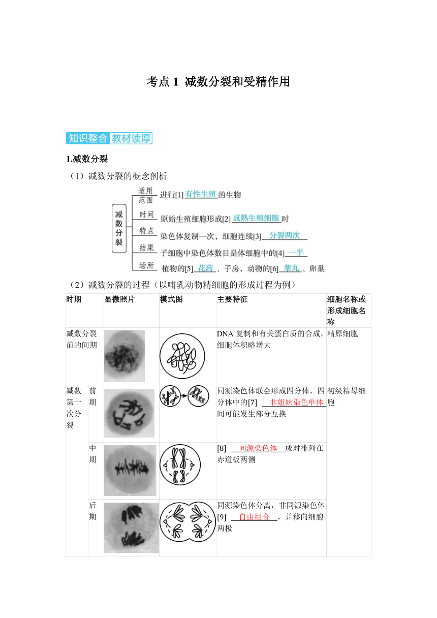 生物学高考备考学案：4-2 减数分裂和受精作用（含答案）