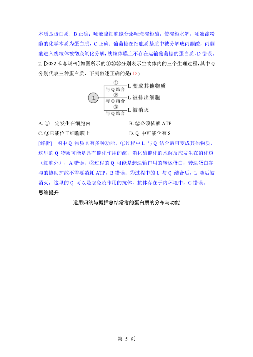 生物学高考备考学案：1-3 蛋白质和核酸（含答案）