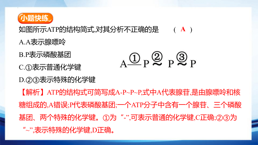 5.2 细胞的能量“货币”(共23张PPT)ATP-高一生物课件（人教版2019必修1）