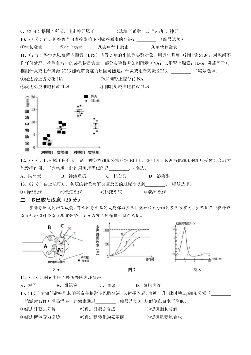 上海市东华致远2023-2024学年高二上学期期中教学评估生物学等级试题（含答案）