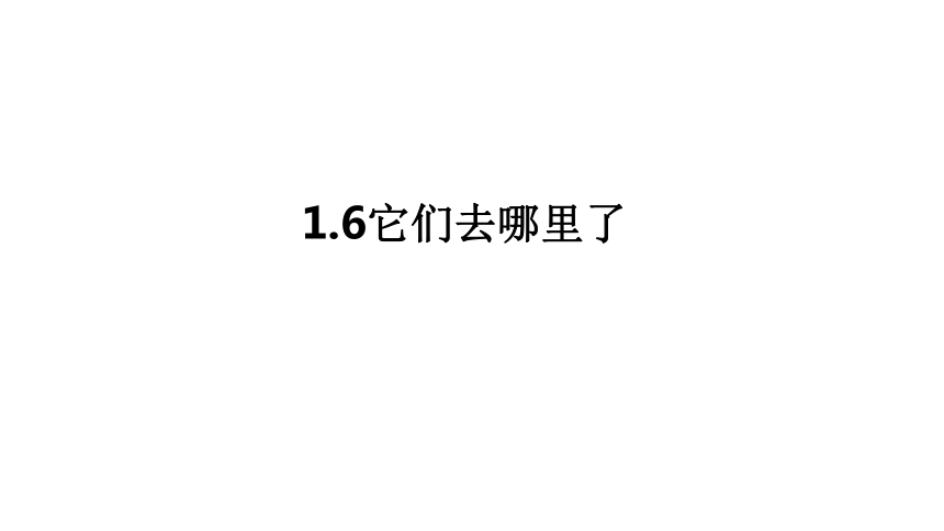 教科版（2017秋）一年级下册1.6它们去哪里了课件（17张PPT)