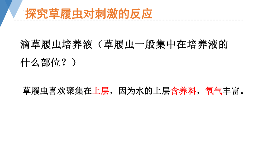 1.2.1 细胞的结构和功能（第二课时）课件(共22张PPT)2023-2024学年济南版生物七年级上册