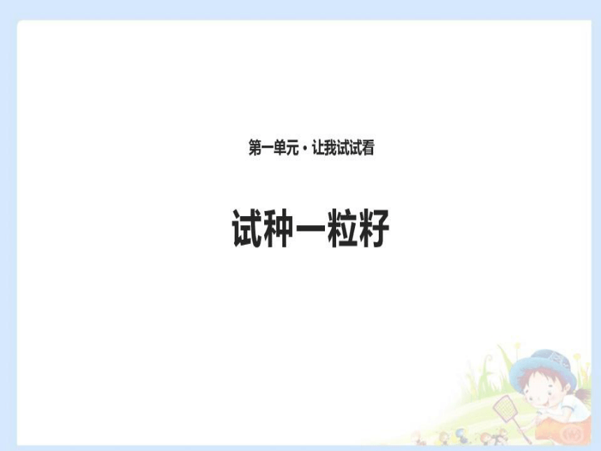 4.试种一粒籽课件 (共31张幻灯片)