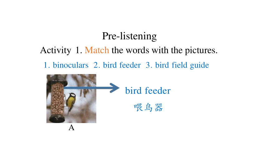 Unit 2 Wildlife Protection Listening and Talking 课件（共41张PPT）