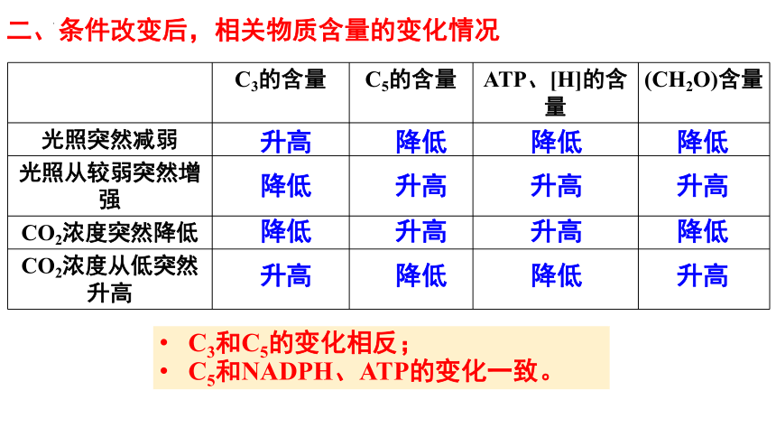 5.4 光合作用与能量转化（第三课时）课件(共22张PPT)高一生物课件（2019人教版必修1）