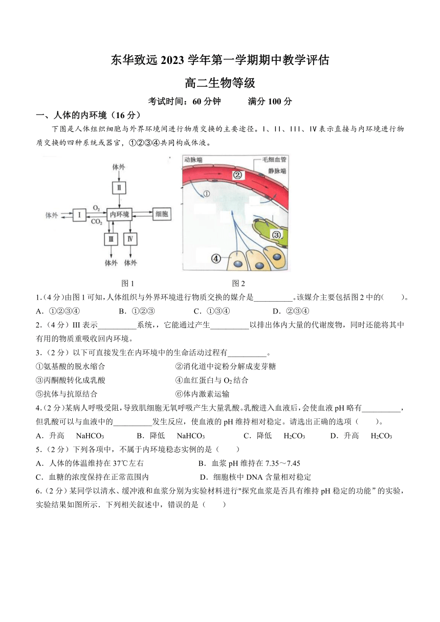 上海市东华致远2023-2024学年高二上学期期中教学评估生物学等级试题（含答案）