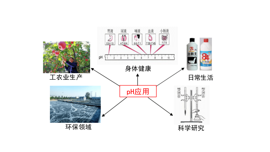 高中化学 人教版（2019） 选择性必修1 3.2 水的电离和溶液的pH 课件（共30张PPT）