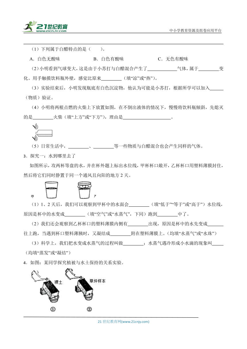 粤教版五年级上册科学期末实验探究题专题训练（含答案）