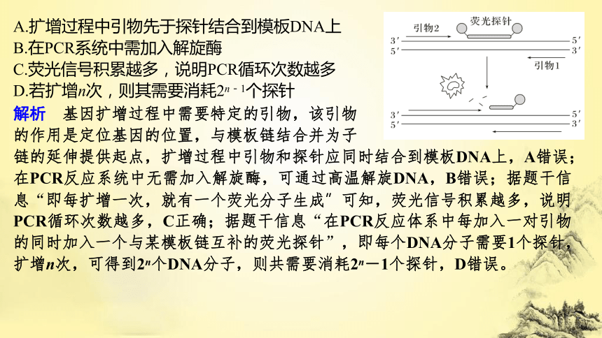 高考生物总复习微专题10 PCR技术与电泳相关问题(课件共21张PPT)