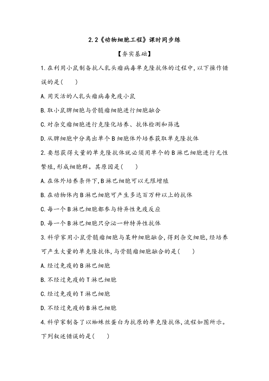 2.2《动物细胞工程》课时同步练2023~2024学年高中生物人教版（2019）选择性必修3（含答案）