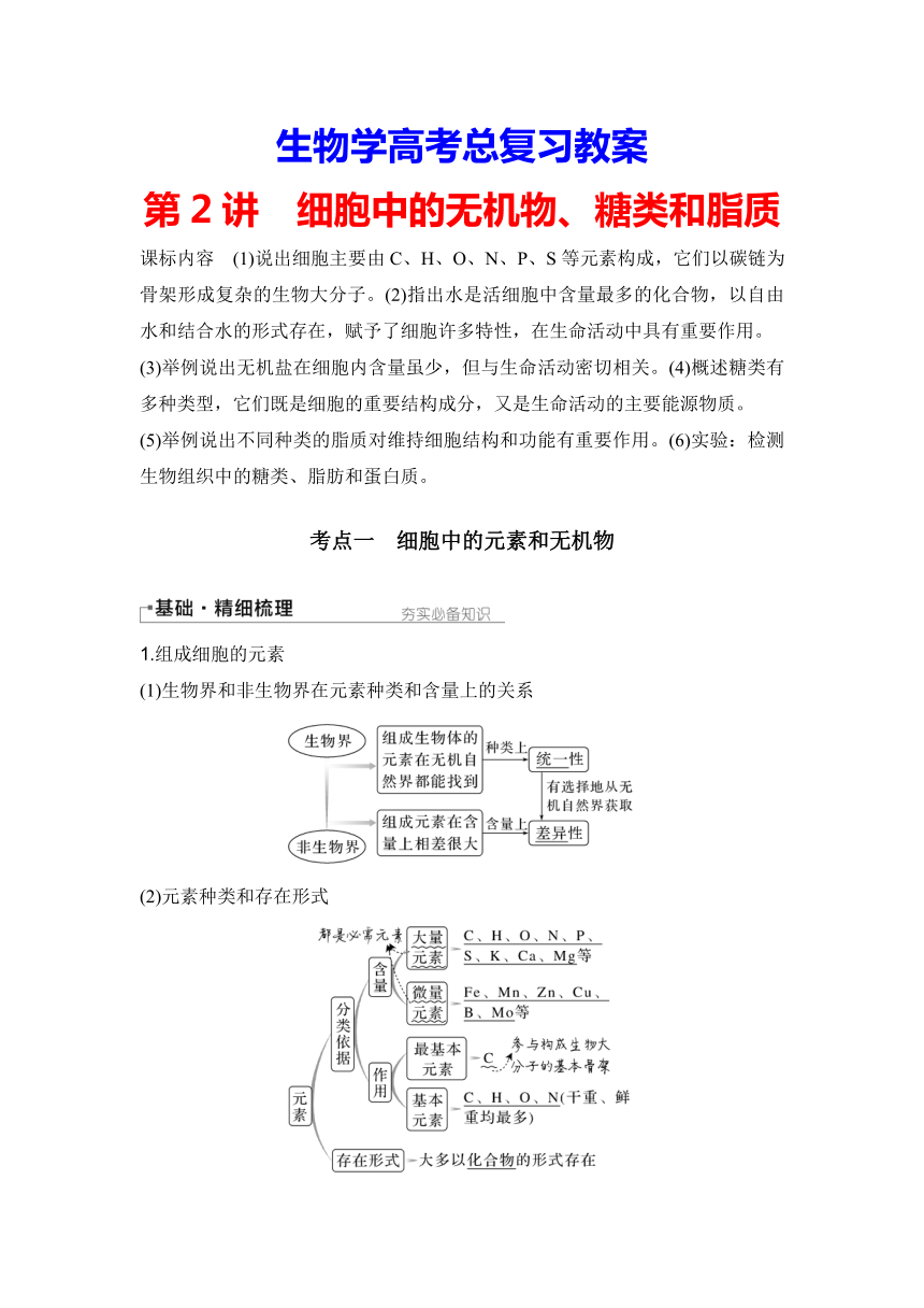 【备考2024】生物学高考一轮复习学案：第2讲　细胞中的无机物、糖类和脂质（含解析）