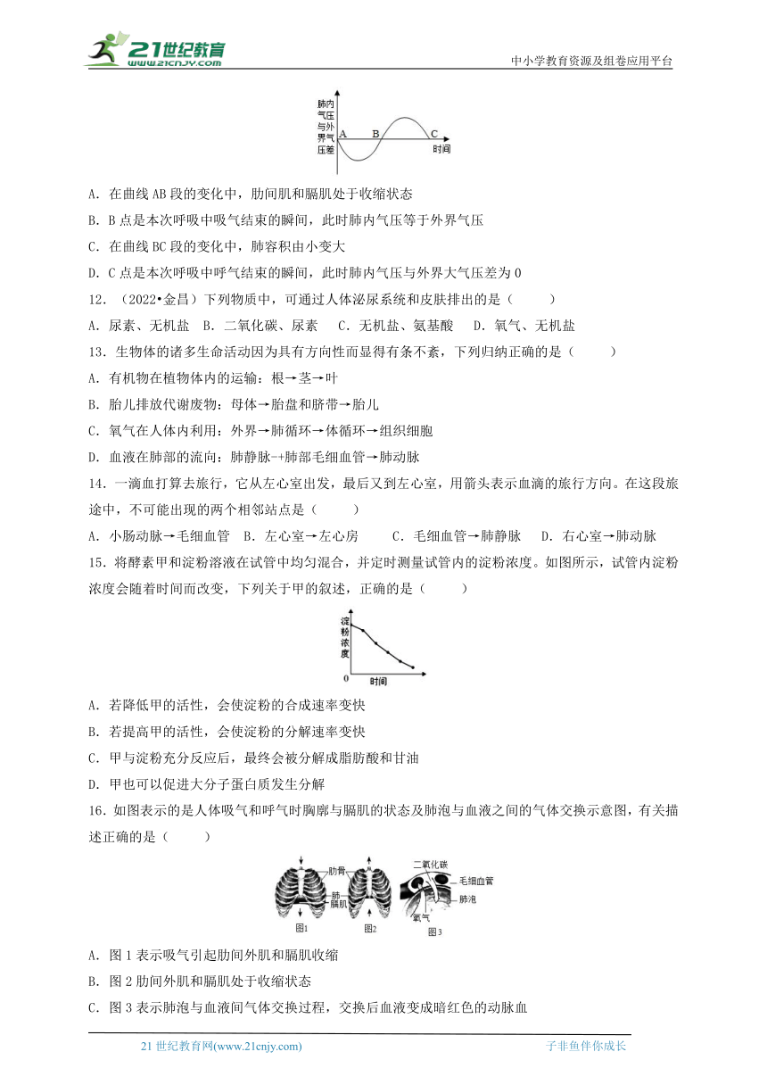 2024华师大版科学八上期末冲刺系列之第五章人体物质和能量转化（含答案）