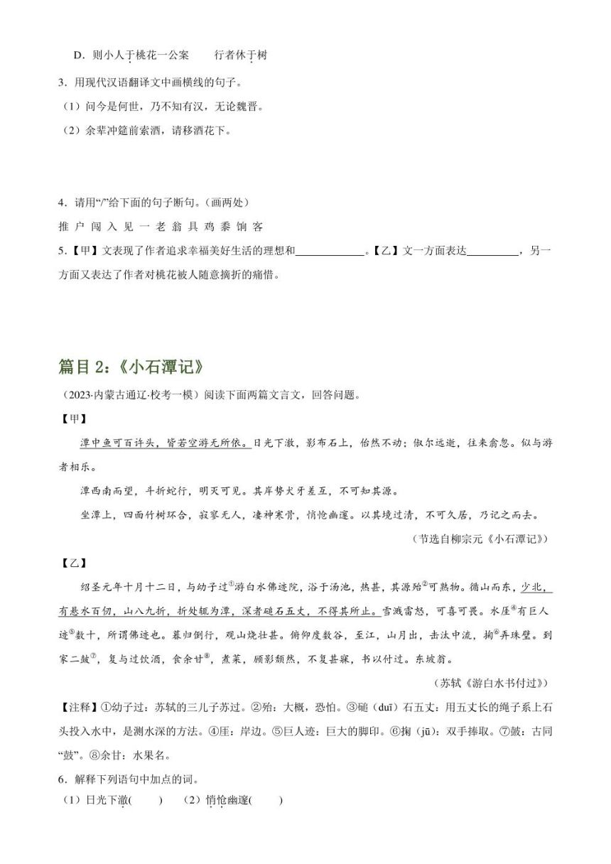 2024年中考语文复习专题18 八下课标文言文复习 专练（PDF版学生版+解析版）