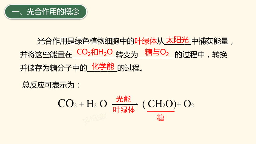 3.2.2 绿色植物光合作用的过程课件(共30张PPT)2023-2024学年高一上学期生物苏教版（2019）必修第一册