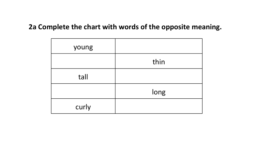 Unit 9 What does he look like Period 4 Section B (2a-2c)课件(共48张PPT)