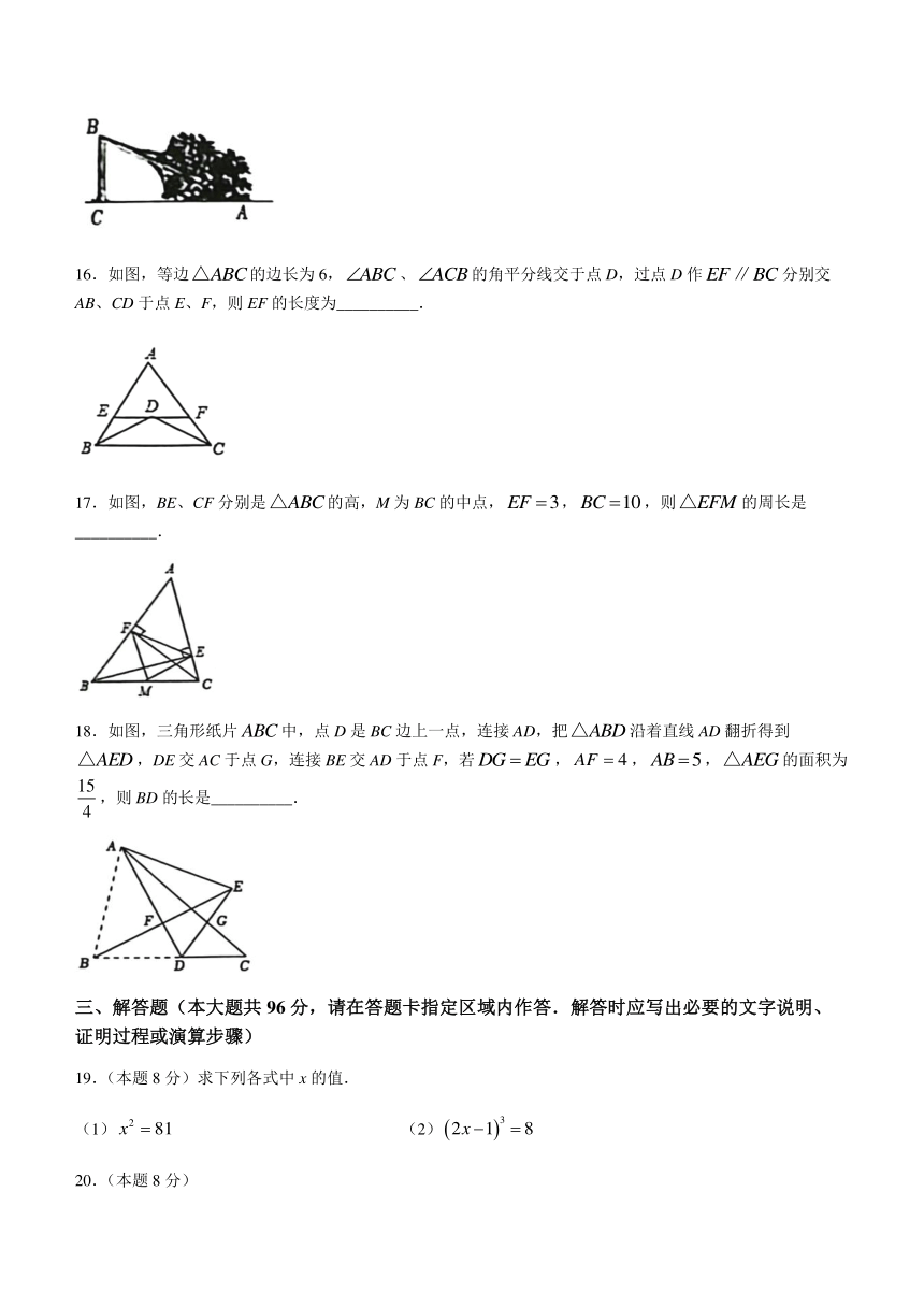 江苏省扬州市宝应县2023-2024学年八年级上学期期中数学试题（含答案）