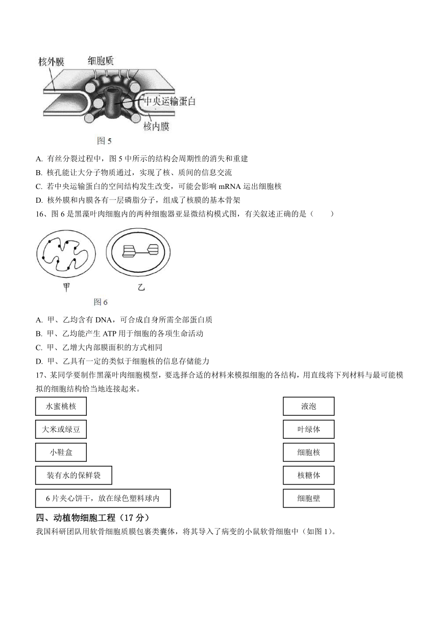 上海市东华致远2023-2024学年高二上学期期中教学评估生物学合格考试题（含答案）