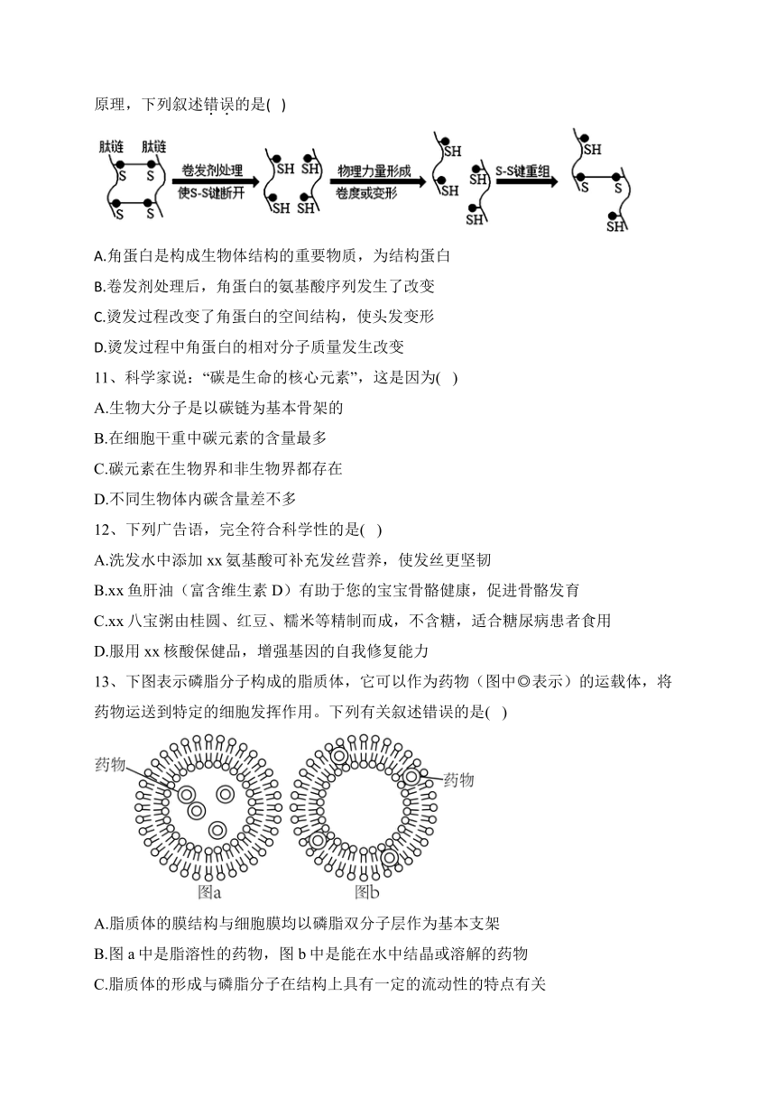 福建省宁德市寿宁县2022-2023学年高一11月期中生物试题(含解析)