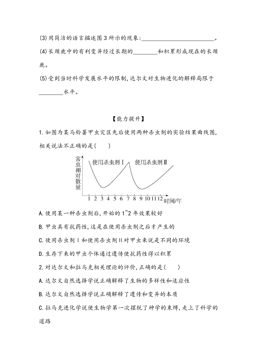 6.2《自然选择与适应的形成》课时同步练2023~2024学年高中生物人教版（2019）必修2（含答案）