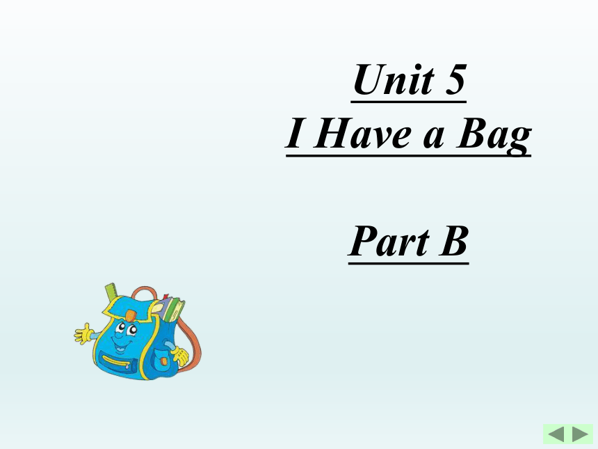 Unit 5 I have a bag PB 课件
