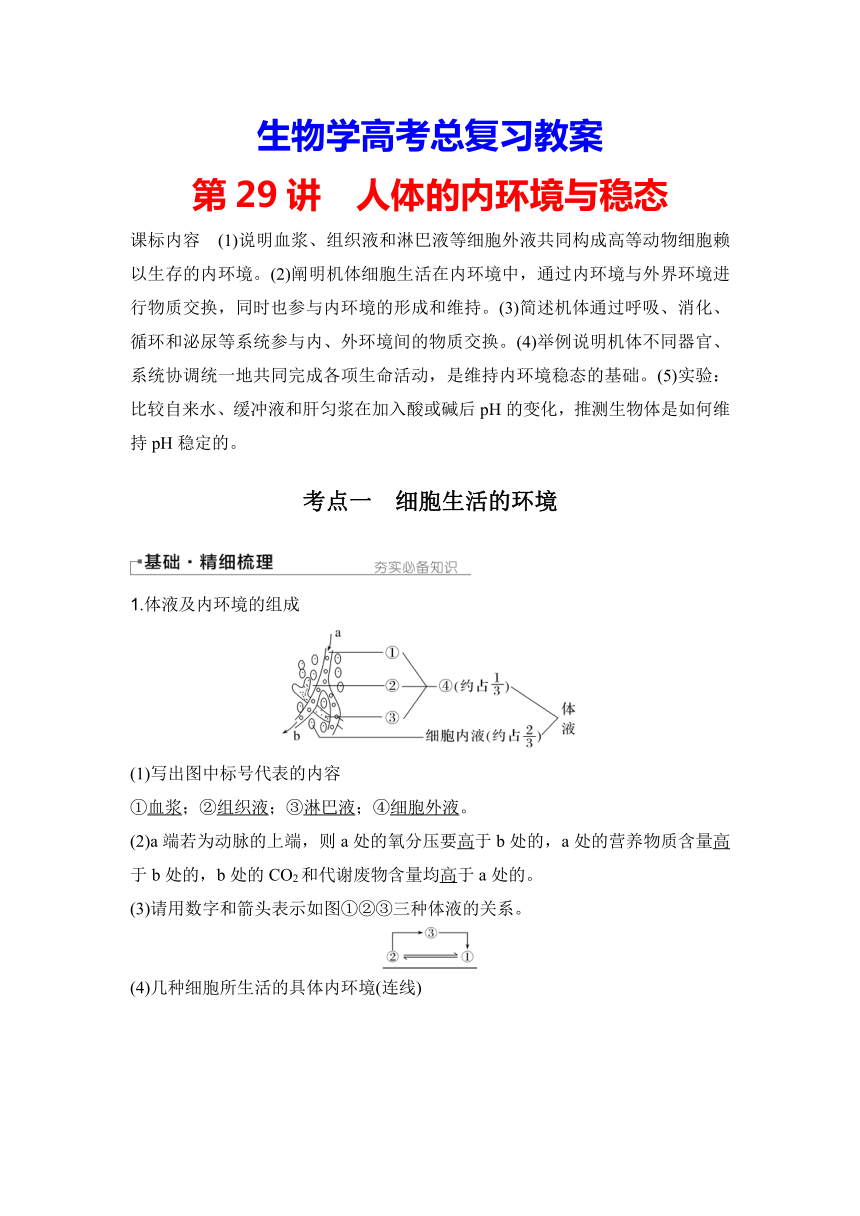 【备考2024】生物学高考一轮复习学案：第29讲　人体的内环境与稳态（含解析）