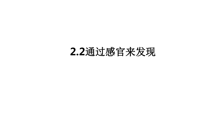 教科版（2017秋）二年级下册2.2通过感官来发现课件（17张PPT)