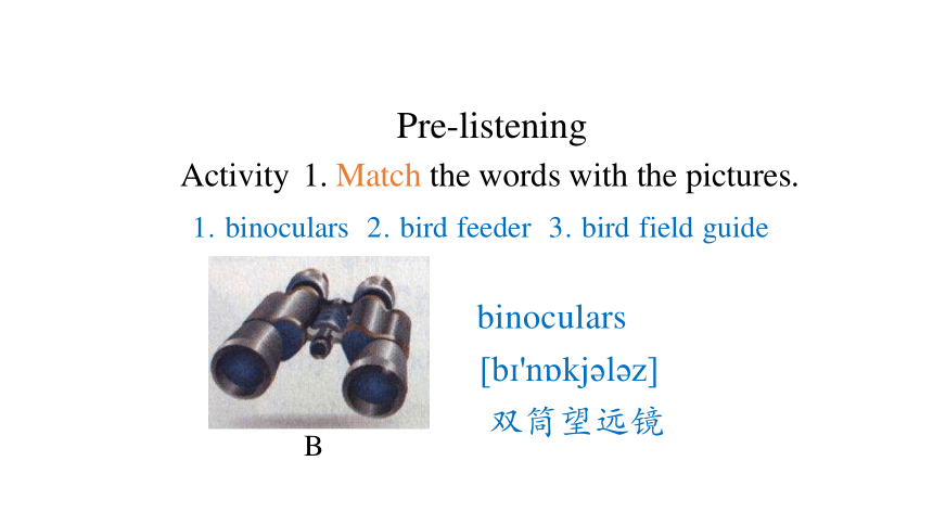 Unit 2 Wildlife Protection Listening and Talking 课件（共41张PPT）