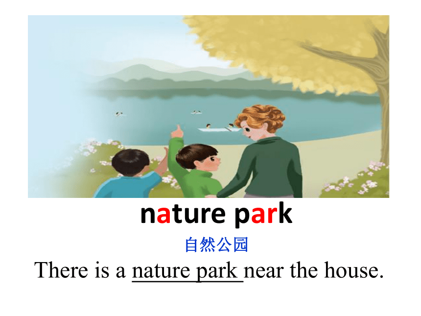 Unit 6 In a nature park PB Read and Write 课件（17张PPT）