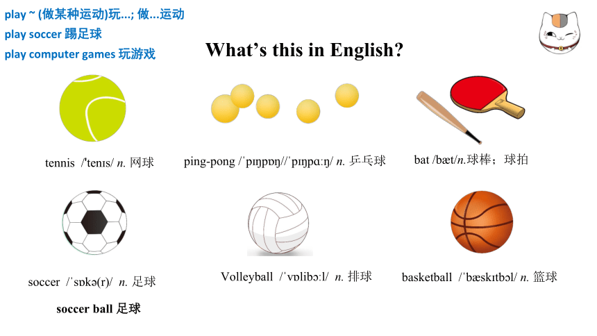 Unit 5 Do you have a soccer ball?  复习课件 (共37张PPT)