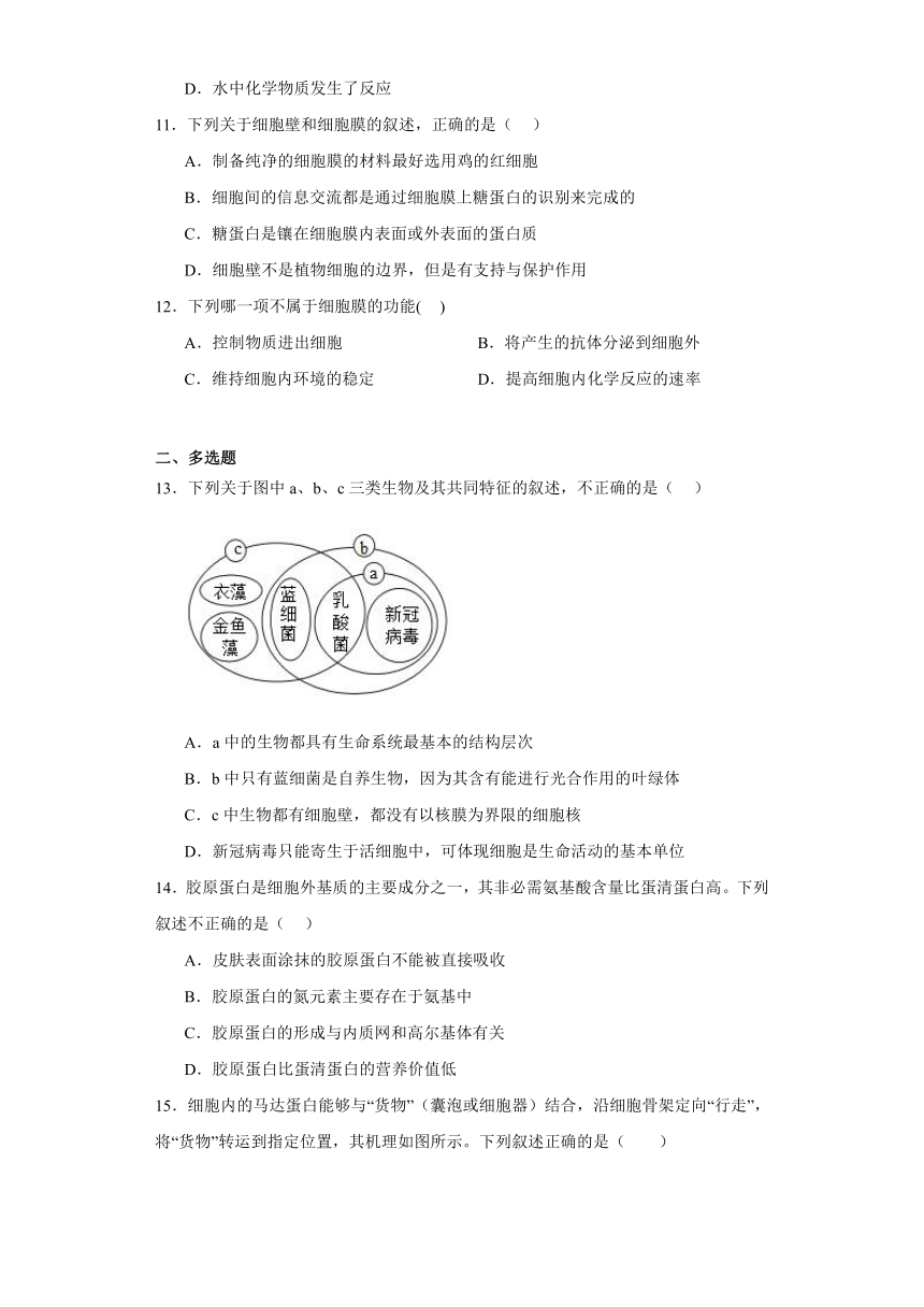 2.2细胞-生命活动的基本单位 练习（解析版）