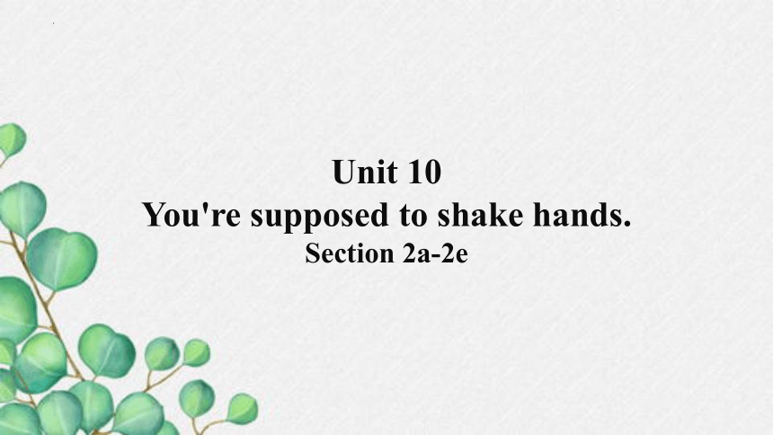 Unit 10 You're Supposed To Shake Hands. Section 2a-2e 课件(共21张PPT)2023 ...