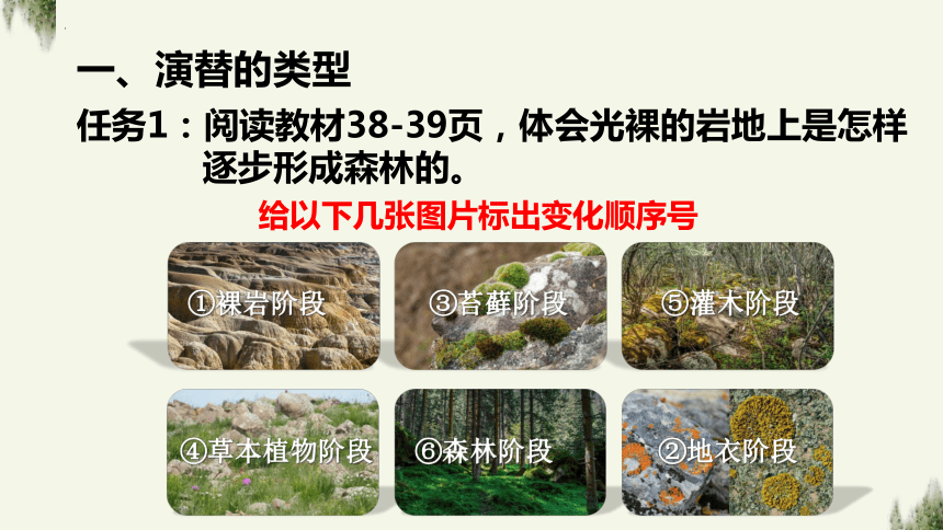 2.3群落的演替课件（共17张PPT、3份视频）2023-2024学年高二上学期生物人教版选择性必修2