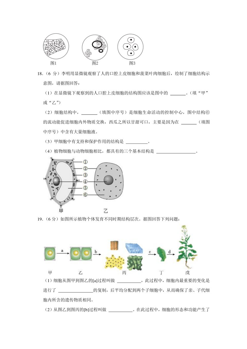 广西贵港市平南县2023-2024学年七年级上学期期中生物试卷（含解析）